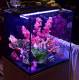 AQUATOP Recife ECO 40 Gallon Tank